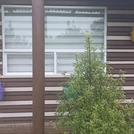 Cabanas Y Hostal Tepual Puerto Montt Bagian luar foto